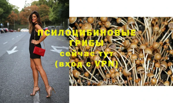 твердый Богданович