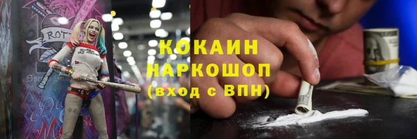 крисы Баксан