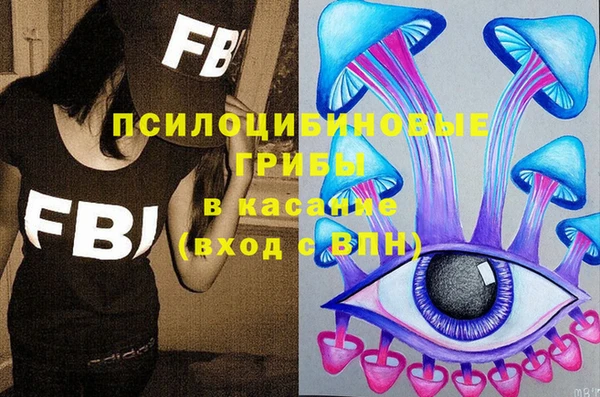 кокс Бородино