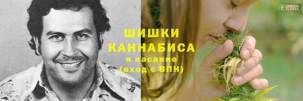 мдпв Приозерск